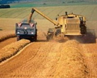 государство поддержит аграриев125 миллиардами рублей